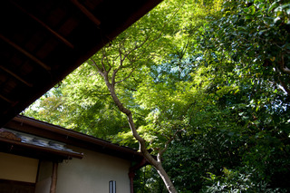 DSC_0047.jpg