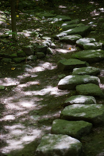 DSC_0107.jpg