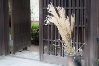 DSC_0123.jpg