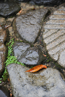 DSC_0151.jpg