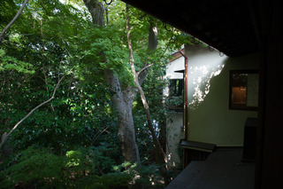 DSC_0173.jpg