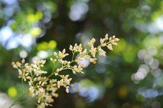 DSC_0419.jpg