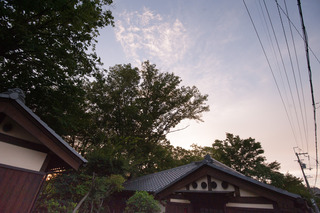 DSC_0437.jpg