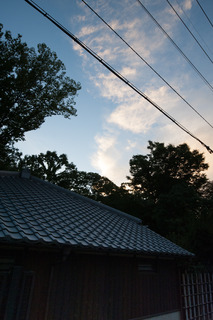 DSC_0468.jpg