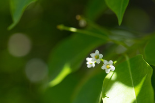 DSC_0504.jpg