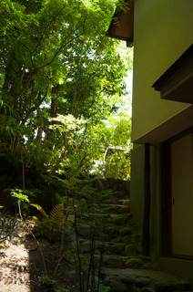 DSC_0522.jpg