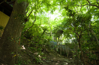 DSC_0524.jpg