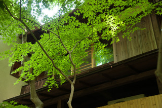 DSC_0526.jpg