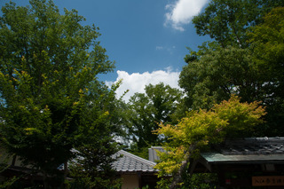DSC_0554.jpg