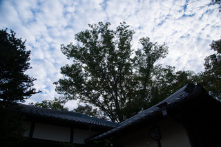 DSC_0632.jpg