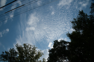 DSC_0839.jpg