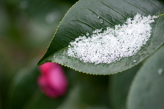 DSC_0839.jpg