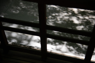 DSC_0862.jpg