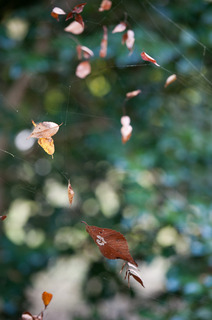 DSC_0895.jpg