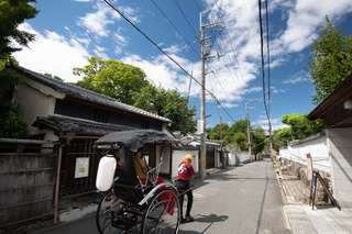 DSC_0916.jpg