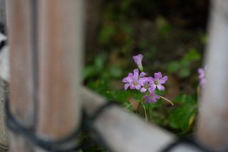 DSC_1358.jpg
