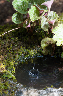 DSC_1745.jpg