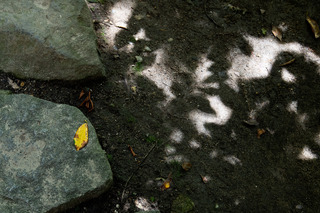DSC_2237.jpg