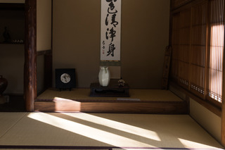 DSC_5383.jpg