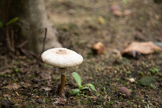 DSC_5480.jpg