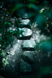 DSC_5884.jpg
