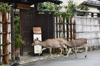 DSC_6838.jpg