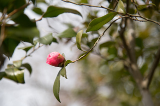 DSC_7648.jpg