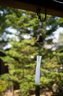 DSC_7959.jpg