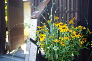 DSC_8084.jpg