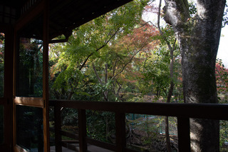 DSC_9845.jpg